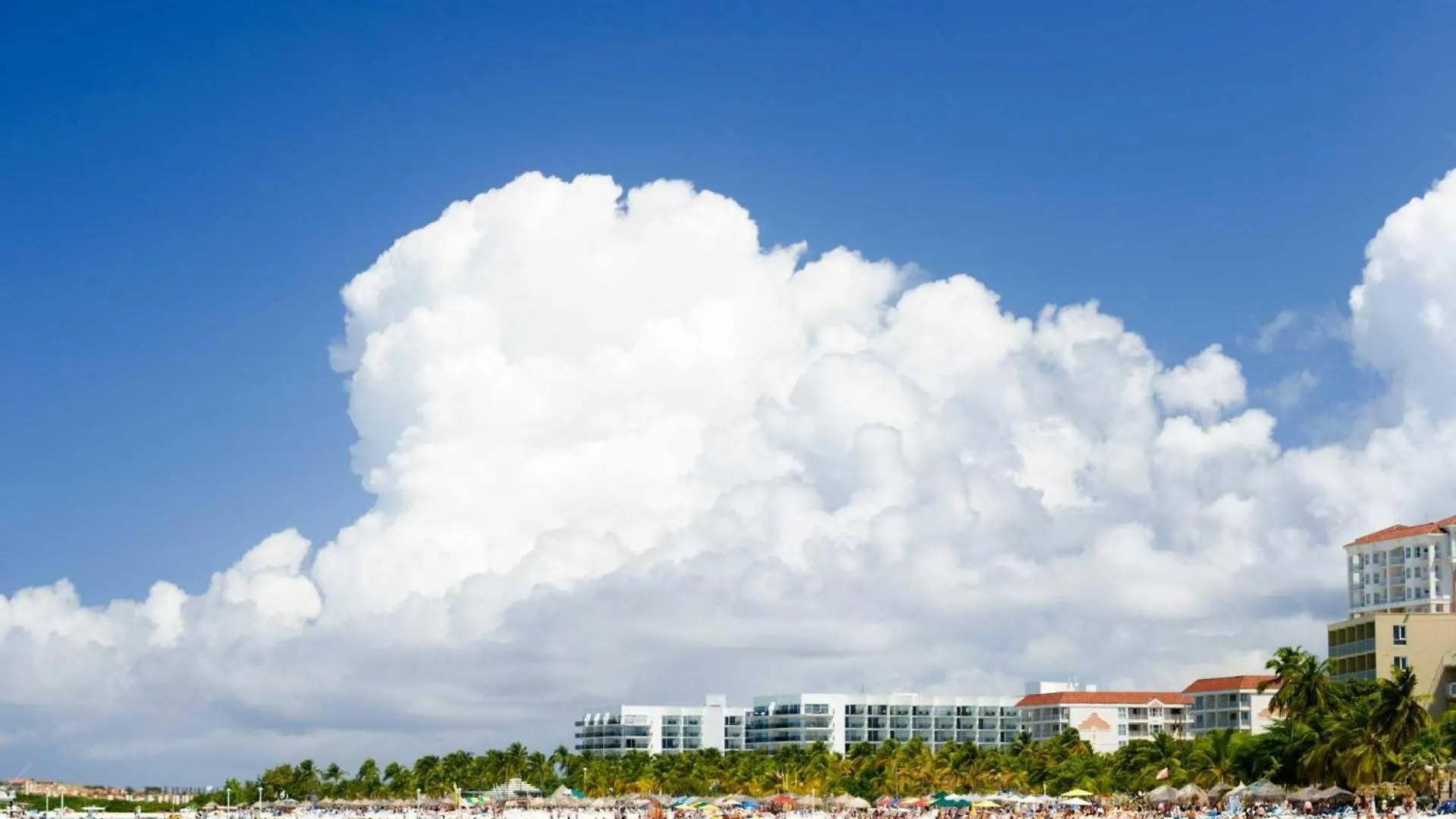 Pc301 - Pool View - Perfect For A Couple - Close To Palm Beach - 1Br 0*,